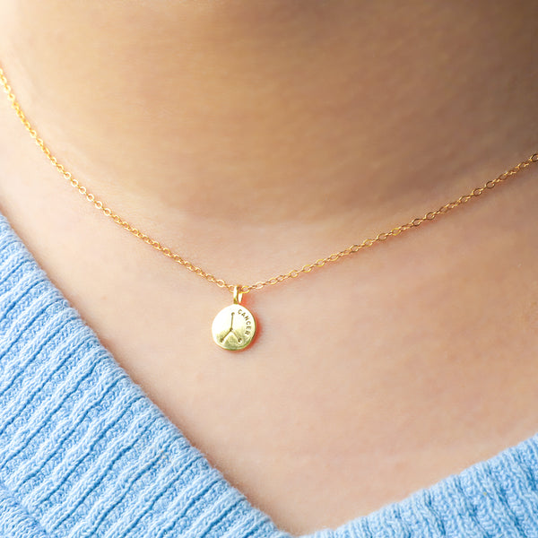 [Astrology] Cancer Necklace (Chain)