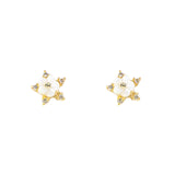 Floral Star Earrings